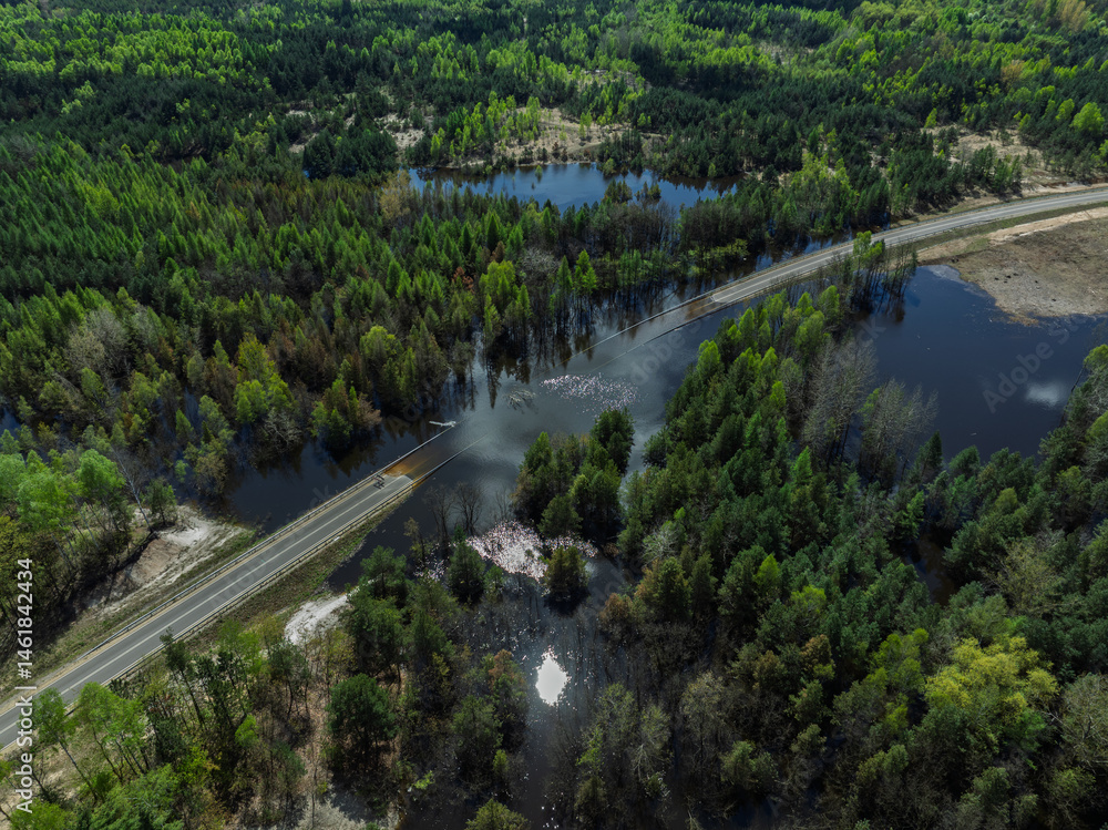Lake District swallow hole flooded as a result of the mining damage Pomorzany mine in Olkusz,Poland. Aerial drone view of flooded road. Forest submerged in a lake. Sunken sandpit with clear water