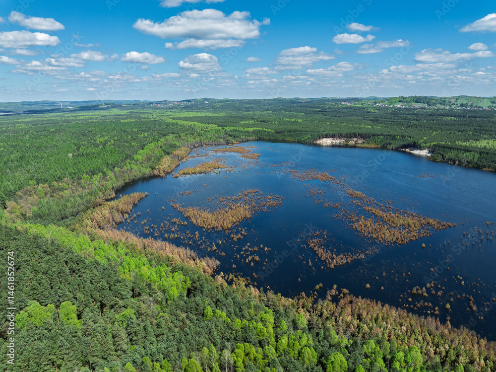 Lake District swallow hole flooded as a result of the mining damage Pomorzany mine in Olkusz,Poland. Aerial drone view of flooded sand pit. Forest submerged in a lake. Sunken sandpit with clear water