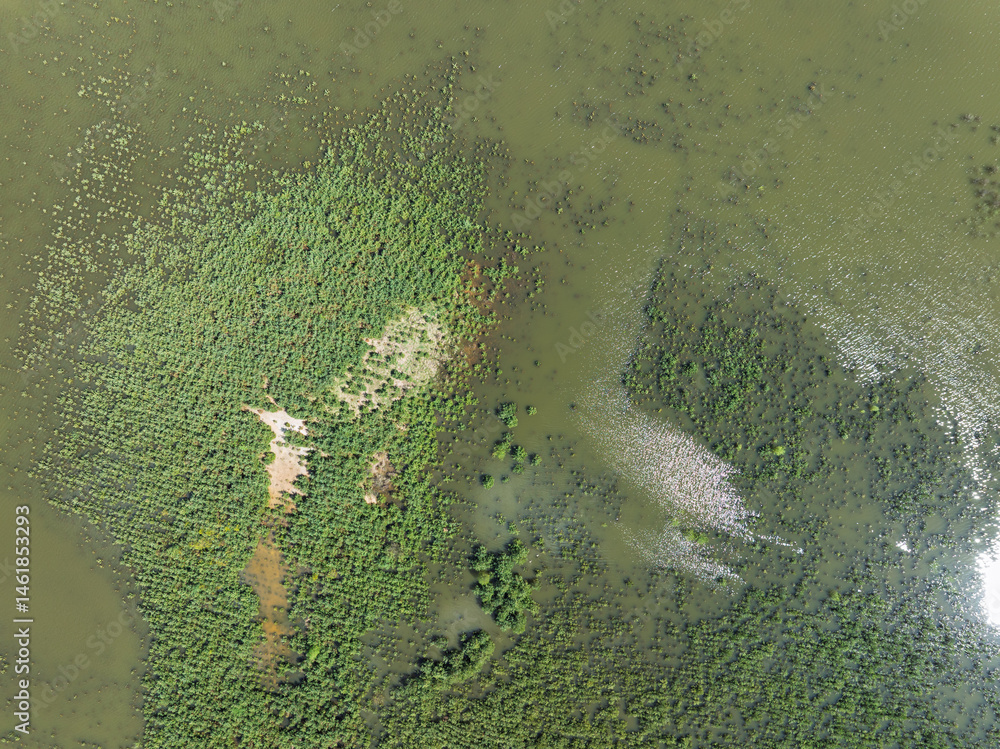 Lake District swallow hole flooded as a result of the mining damage Pomorzany mine in Olkusz,Poland. Aerial drone view of flooded sand pit. Forest submerged in a lake. Sunken sandpit with clear water