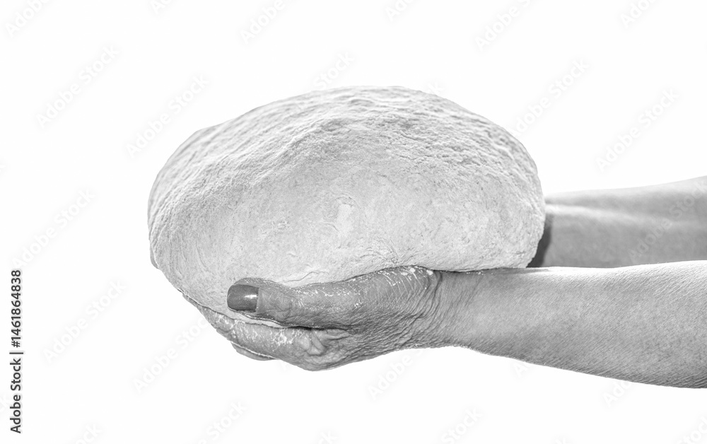 Obraz premium Fresh dough in human hands isolated on white background. Female hands holding raw dough on white background. Hands holding a finished clean dough. Black and white