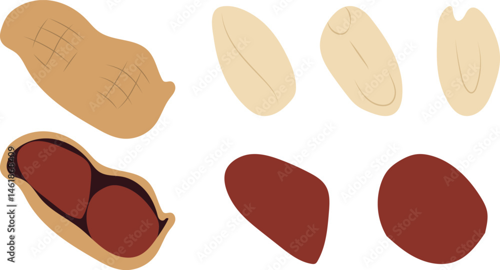Peanuts Vector Set in simple design. Peanuts Vector Set in simple design.
