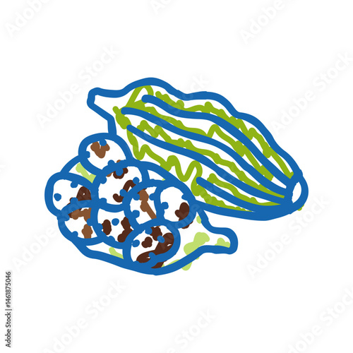 cardamom pods ayurvedic herb icon doodle illustration