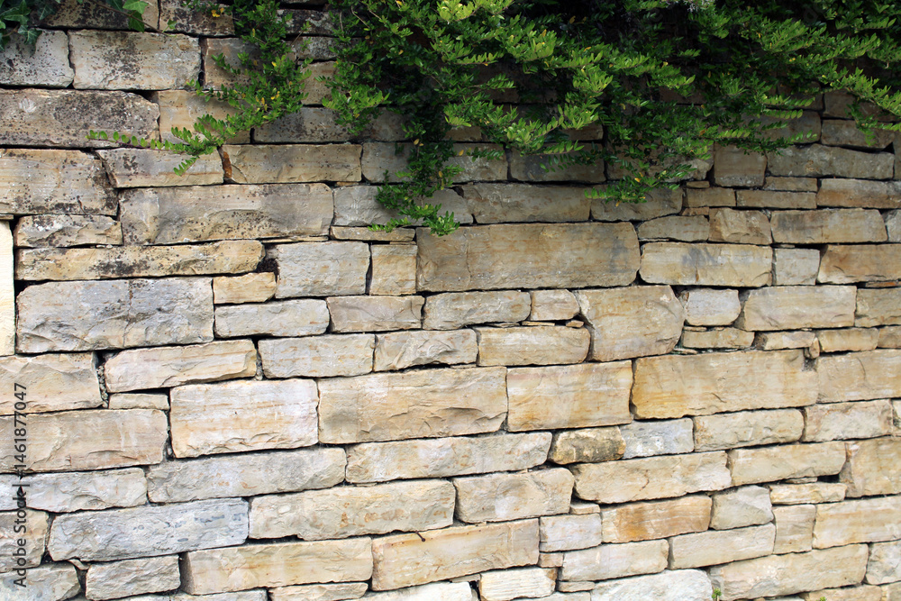 Obraz premium Mur en pierre sèche