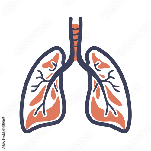 Detailed illustration of human lungs showing anatomical characteristics and pathways in a simple design
