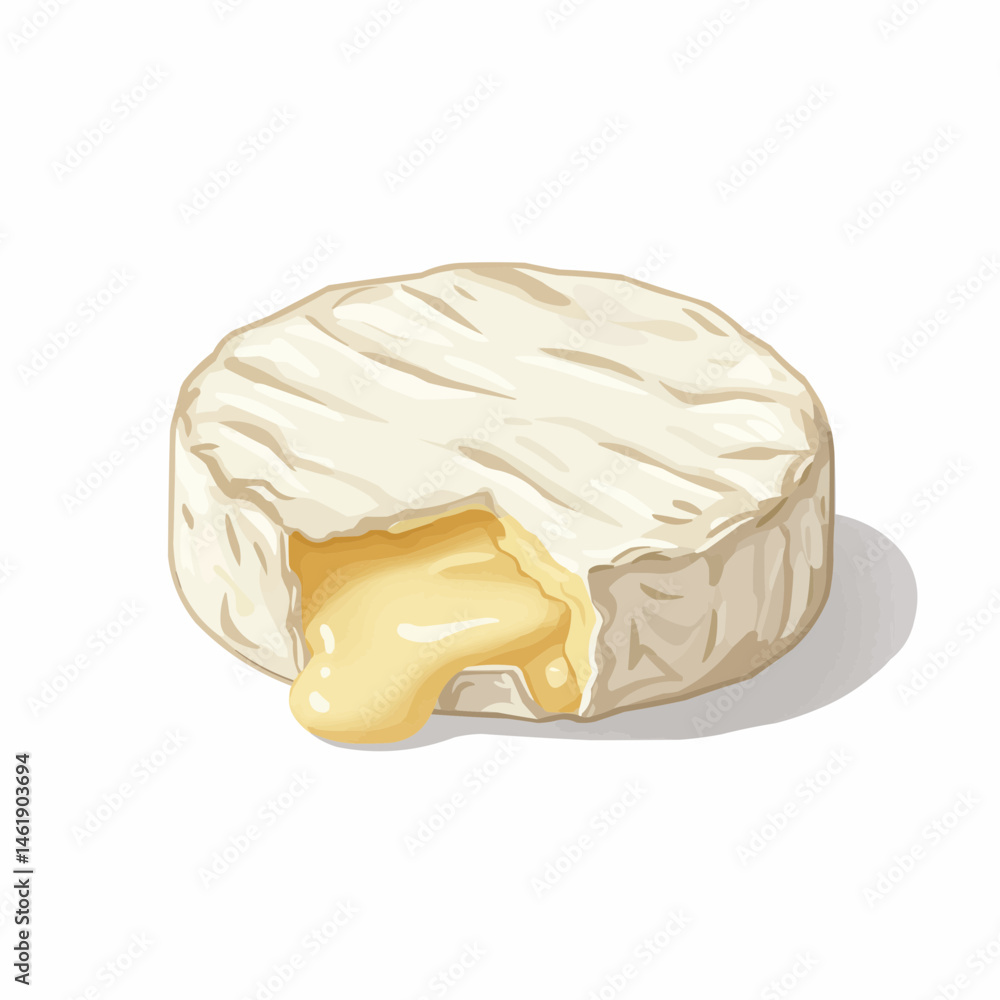 Fototapeta premium Soft white cheese with a textured surface is partly visible on white