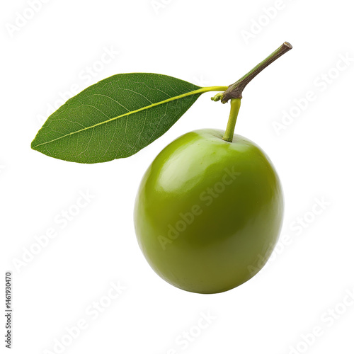Unripe Kakadu Plum Fruit with Leaf Isolated on White Background