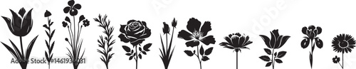 Set of silhouette flowers rose, chamomile, daisy, campanula, iris, Tulip, spring-summer forest and garden field flower, black color isolated vector