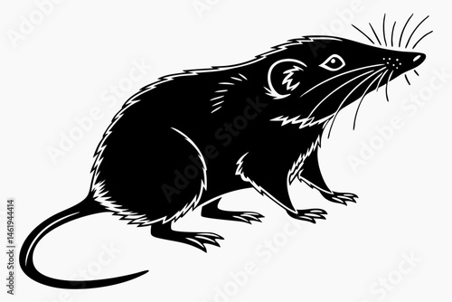 Tableau sur toile shrew sihouette black vector