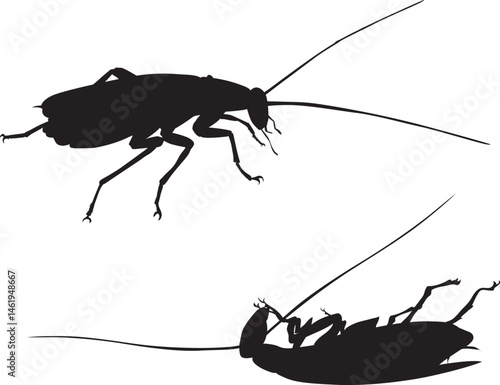 Cockroach_Pest control.eps