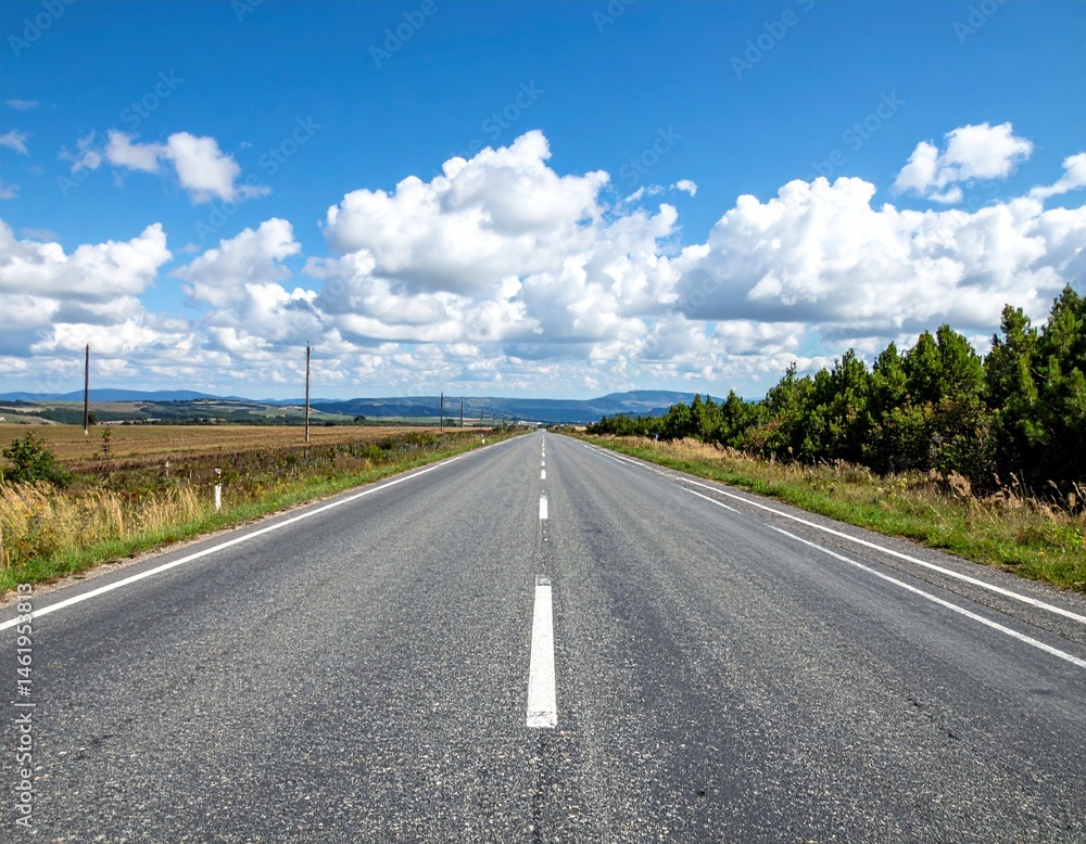 Fototapeta premium Ein Weg: ein langer Weg; Leben; Straße.
