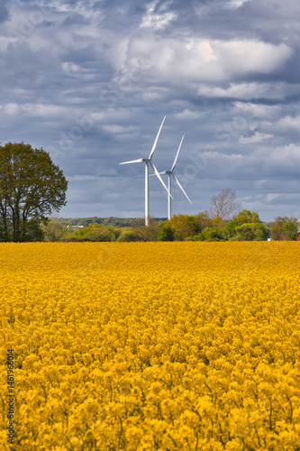 Wind turbines with dramatic sky and canola field on the Swedish countryside in Skane, Sweden