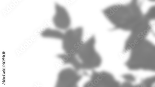 Shadow overlay of leafy plant creates natural artistic effect with soft edges and organic shapes for creative design backgrounds