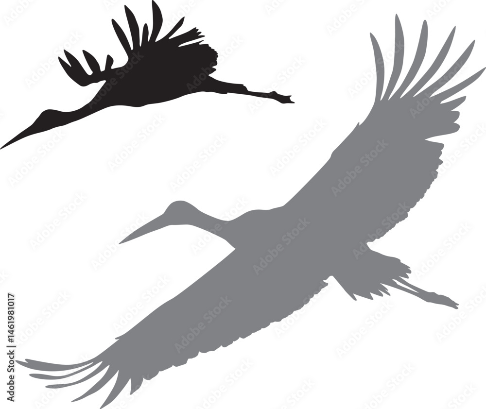 Fototapeta premium Vector silhouettes_Crane.eps