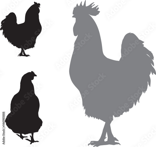 Vector silhouettes_Rooster.eps