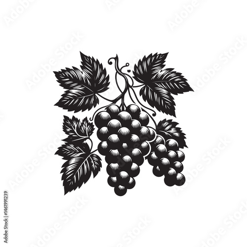 Grapes vector (1).eps