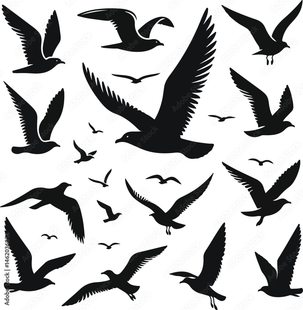 Fototapeta premium Set of seagull silhouette vectors