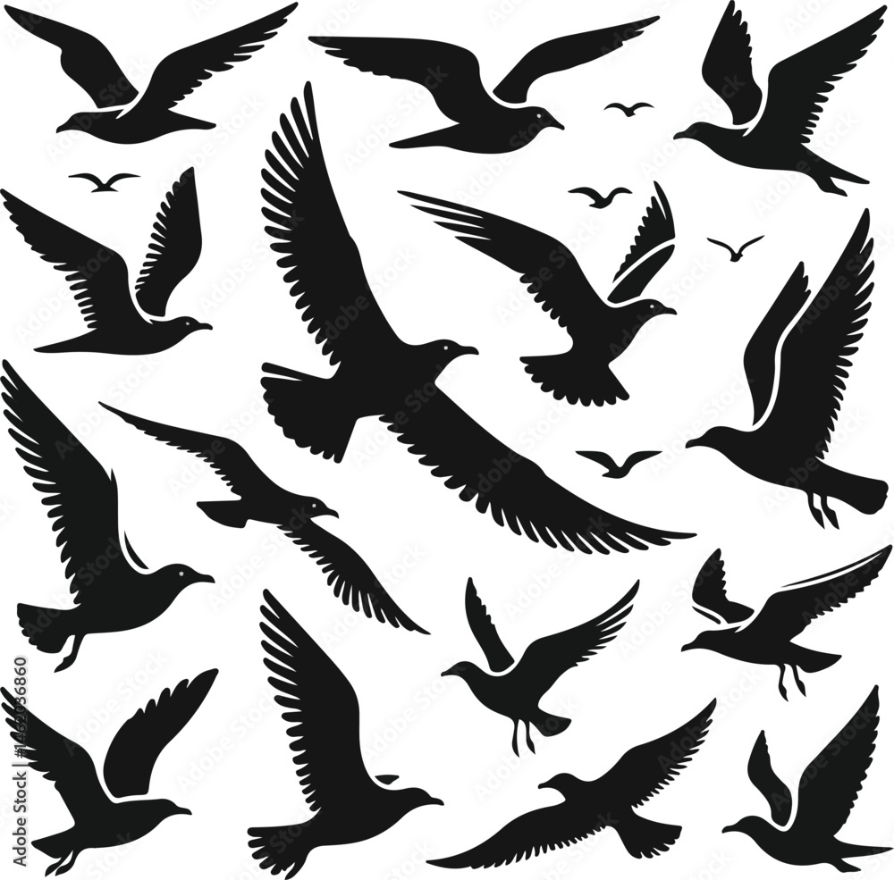 Fototapeta premium Set of seagull silhouette vectors