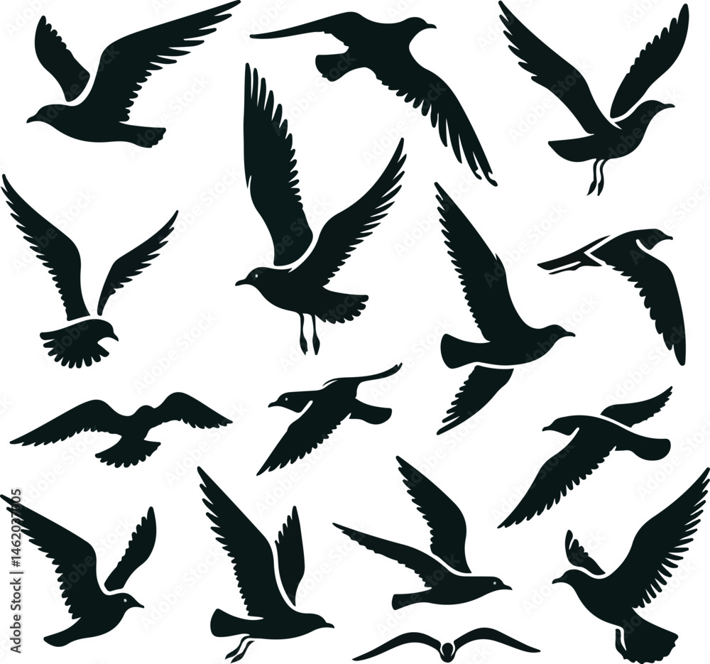 Set of seagull silhouette vectors Set of seagull silhouette vectors