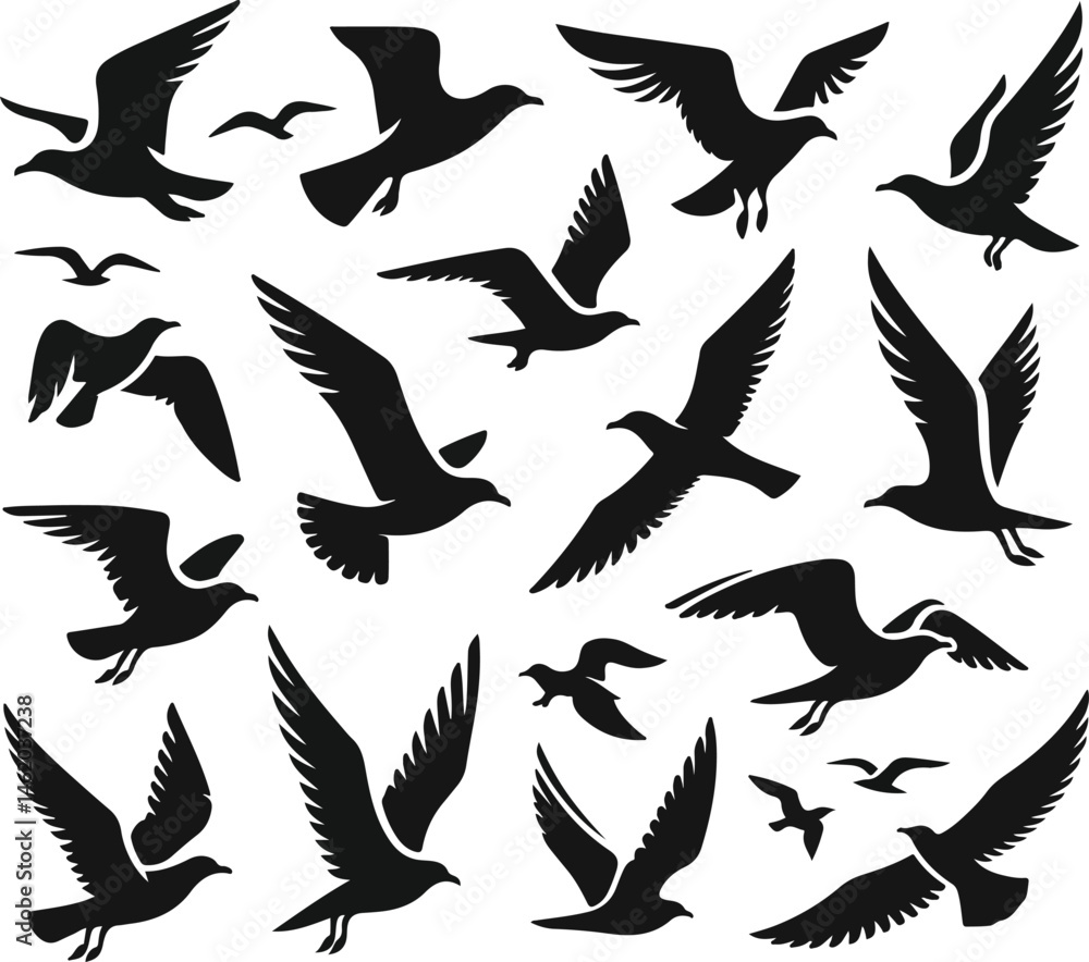 Obraz premium Set of seagull silhouette vectors