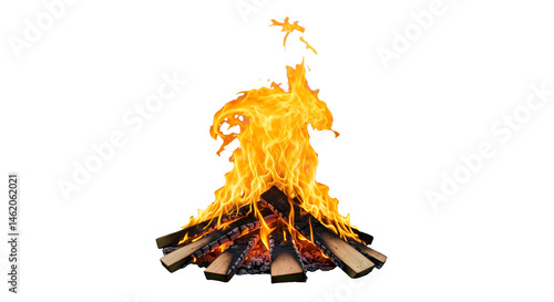 Fiery bonfire burning bright against a dark background.