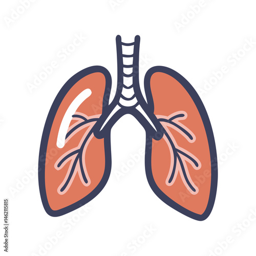 Illustration of human lungs showcasing anatomical details for educational purposes
