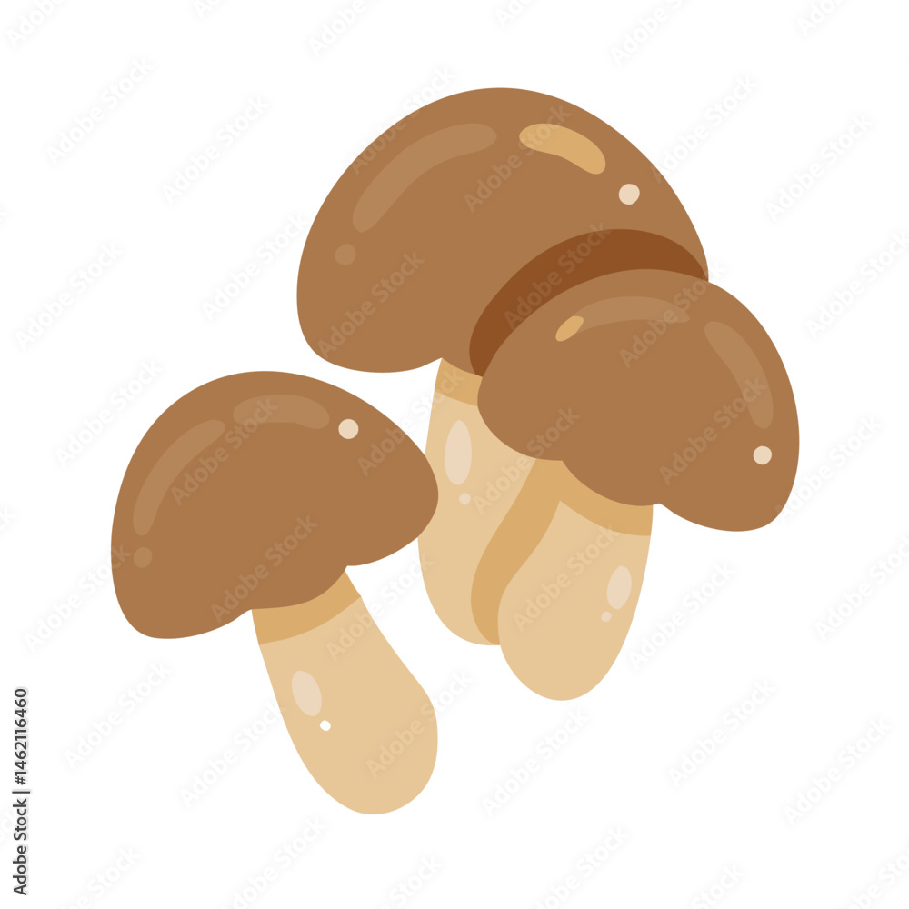Fototapeta premium Brown mushrooms gathered together on a simple white background ready for culinary use in various dishes and recipes
