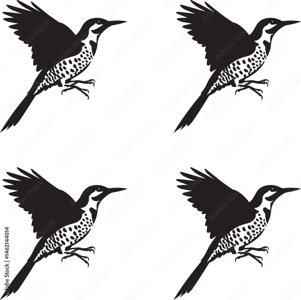 Εκτύπωση καμβά Set of silhouettes collection of Flicker birds vector illustration
