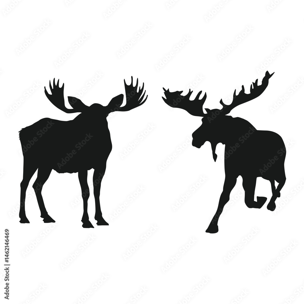 Fototapeta premium Moose black silhouette iilustration on whtie background Vol 03