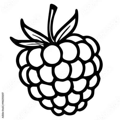 A stylized vector illustration of a raspberry with bold outlines and leaves, suitable for graphic design or educational purposes.