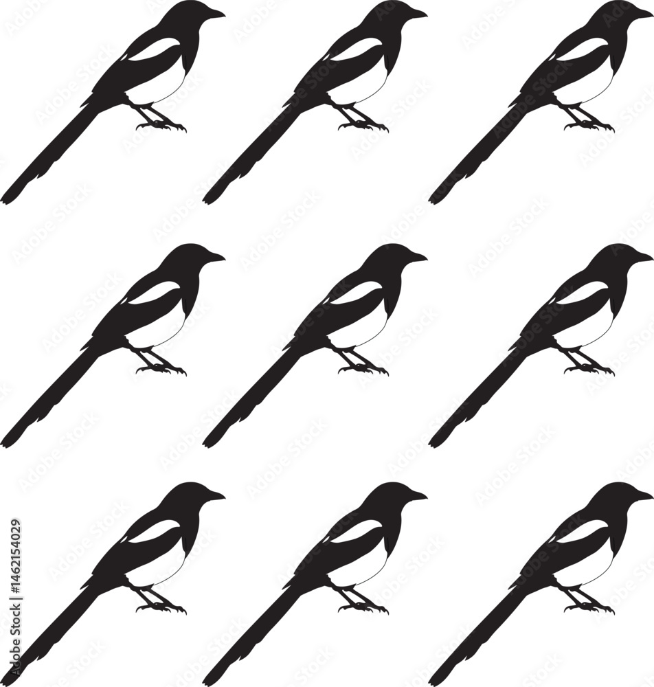 Fototapeta premium Magpie birds. Vector seamless pattern with magpie birds silhouettes. 