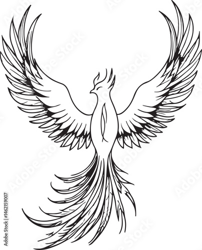 vector illustration of an eagle