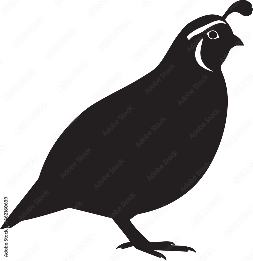 Obraz premium Quail . Vector illustration silhouette quail bird. vector silhouette of a bird. 