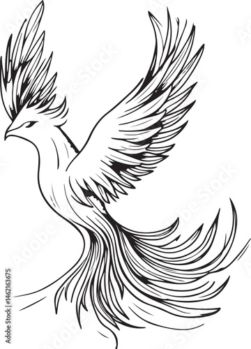 dove of peace vector illustration
