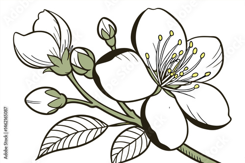 Stunning Gardenia Flower Vector Art for Designers