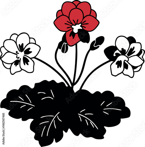 Beautiful Geranium Flower Vector Artwork for Designers