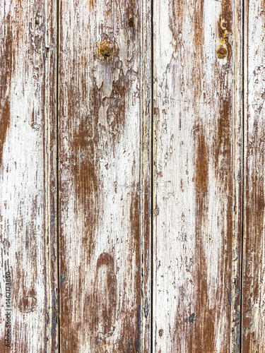 Obraz na płótnie Embrace the Natural Canvas: Elevate Your Designs with the Enchanting Beauty of Wooden Texture w salonie