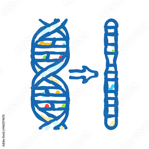 chromosome genetic engineering icon doodle illustration