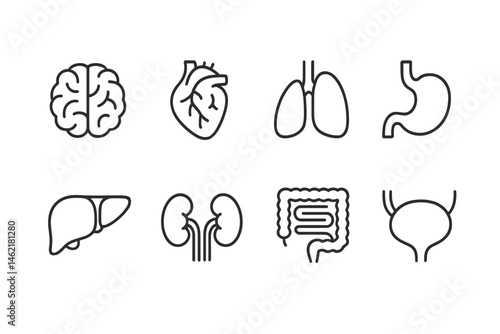 Medical vector icons representing major human organs including brain, heart, lungs, liver, kidneys, stomach, intestines, and bladder
