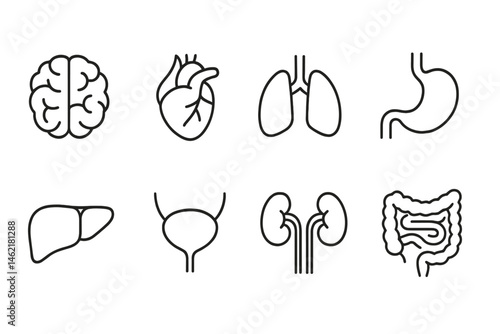 Health icons representing major organs such as brain, heart, lungs, and more in a simple vector style