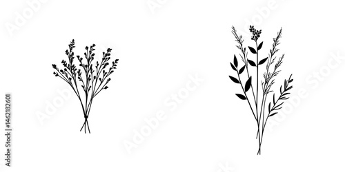 Vector illustration of decorative herbs arranged in artistic bundles for natural and botanical design purposes