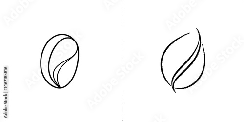 Vector illustration icon depicting abstract coffee bean design with elegant line art and minimalistic style suitable for branding and logo creation