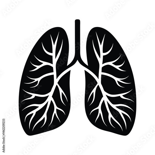 Vector isolated illustration of lungs silhouette on white background