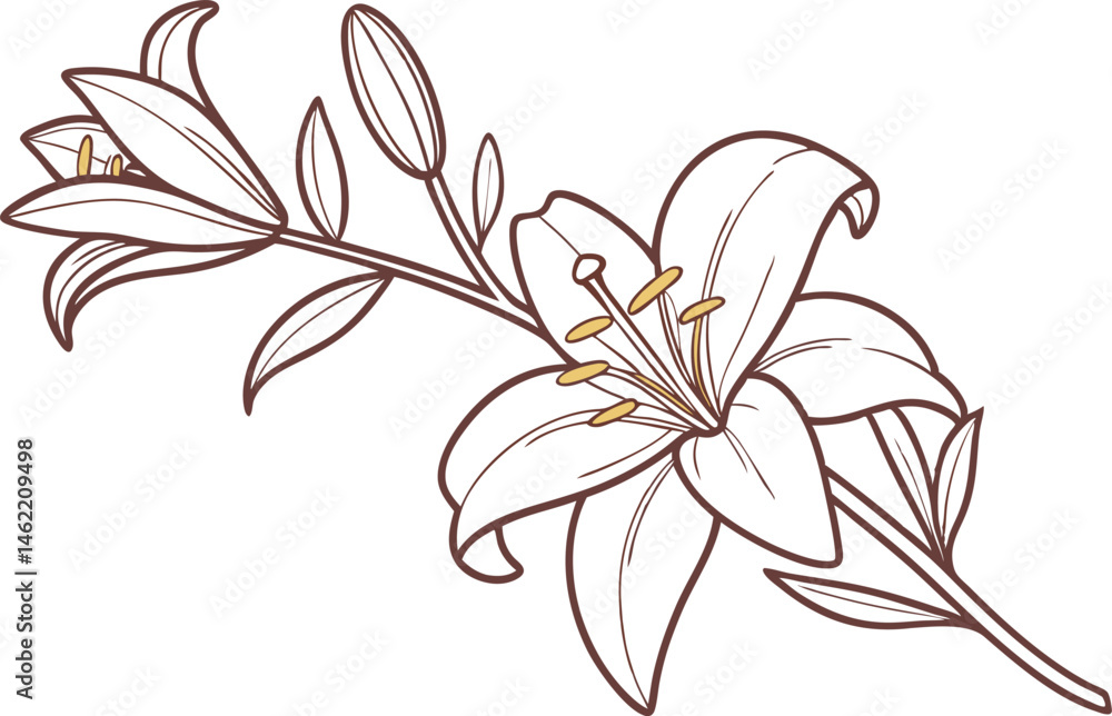 custom made wallpaper toronto digitalBeautiful Lily Flower Vector Art for Graphic Design