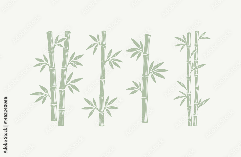Fototapeta premium Set of bamboo engraving style logo design illustration