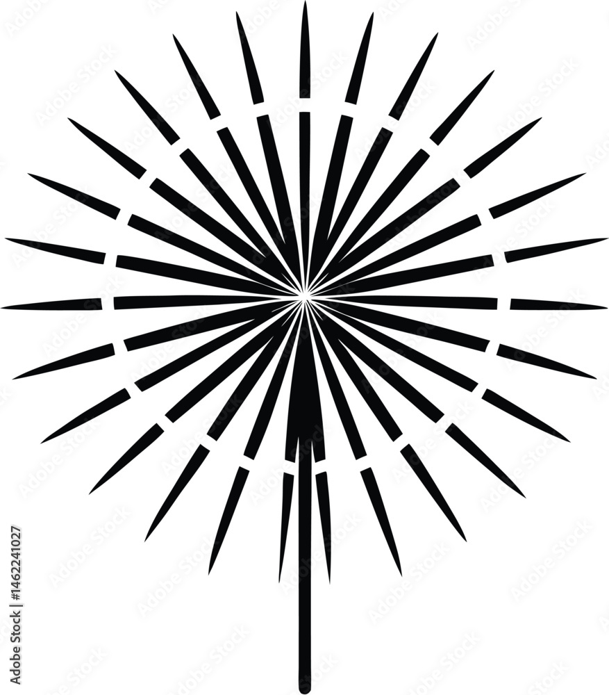 Obraz premium Firework silhouette