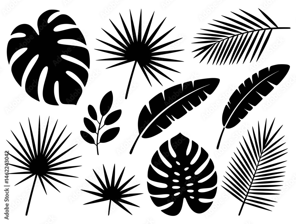Fototapeta premium Black tropical leaf silhouettes on white background