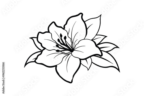 Azalea Vector Silhouette, Azalea flower vector icon isolated on a white background