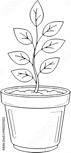 Line Drawing of a Potted Plant with Leaves  