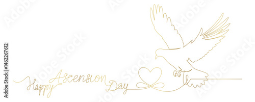 Dove line art style. for Ascension Day background vector 1
