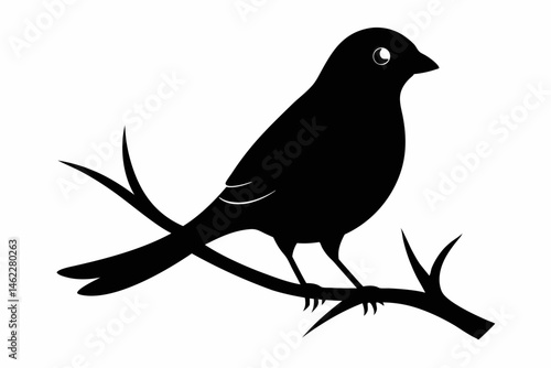 a bird silhouette vector on branch